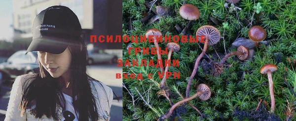 ПСИЛОЦИБИНОВЫЕ ГРИБЫ Богородицк