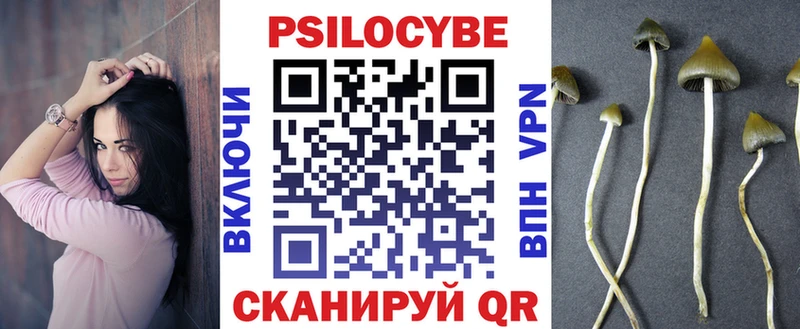 blacksprut как войти  Беслан  Галлюциногенные грибы ЛСД 